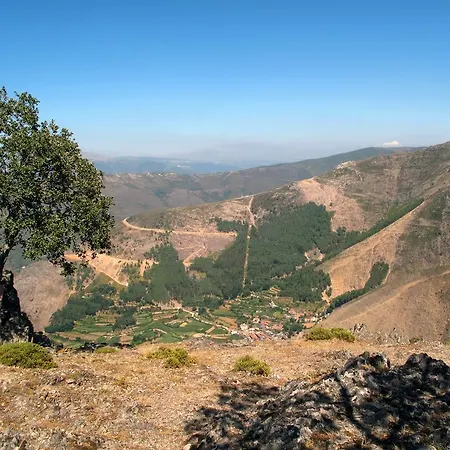 팜스테이 Quinta De *