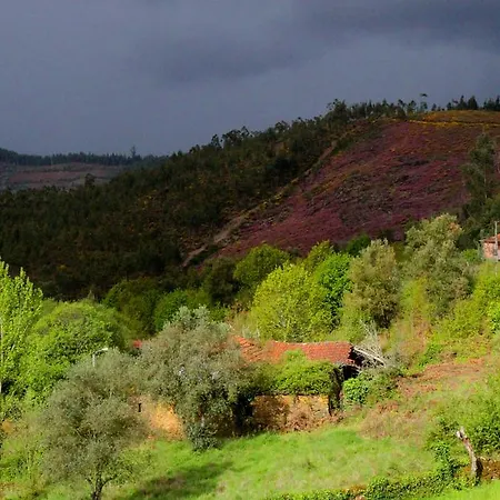 Quinta De Séjour à la ferme Gildinho