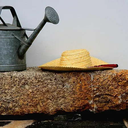 Quinta De * Gildinho