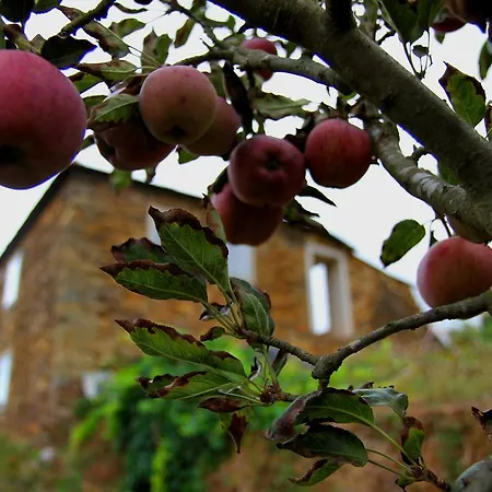 Quinta De 팜스테이