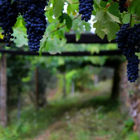 Quinta De * Gildinho