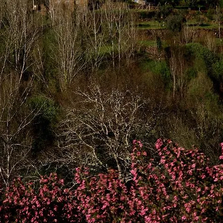 팜스테이 Quinta De *