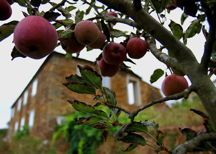 Quinta De Çiftlik konaklama