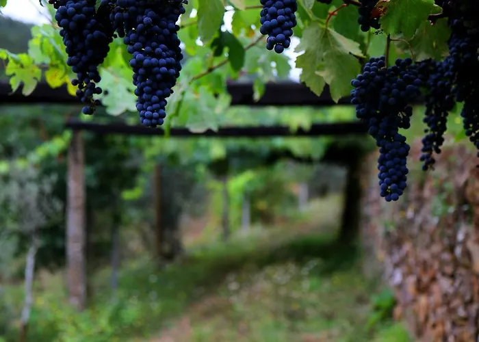 Quinta De * Gildinho