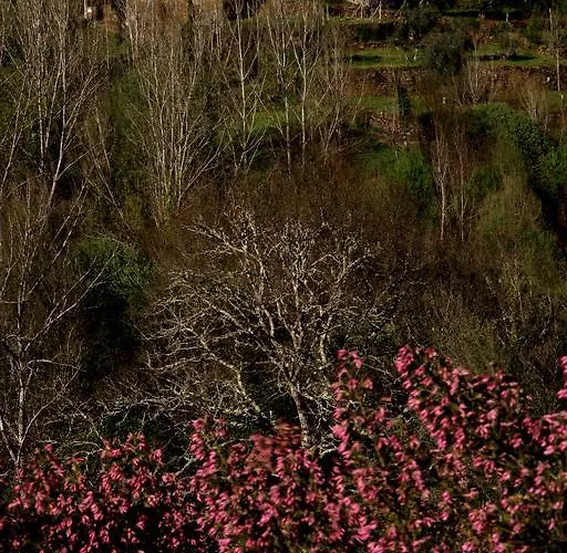 Çiftlik konaklama Quinta De *